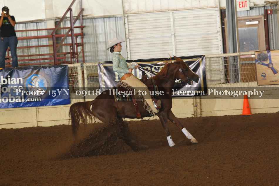 Proof 15YN_09118