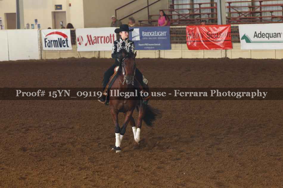Proof 15YN_09119