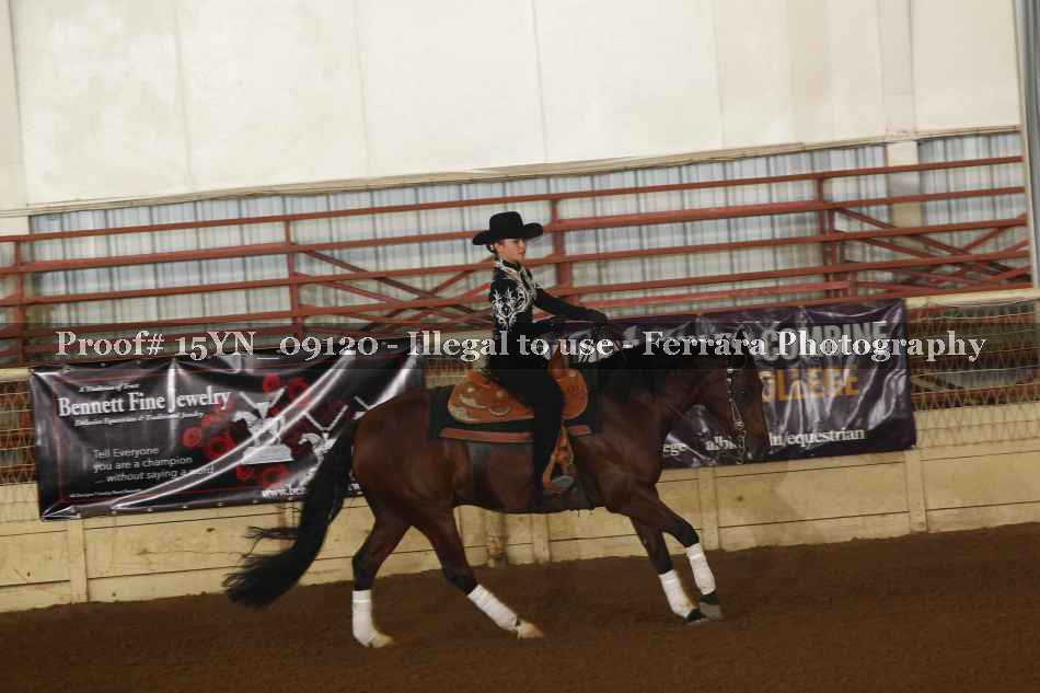 Proof 15YN_09120