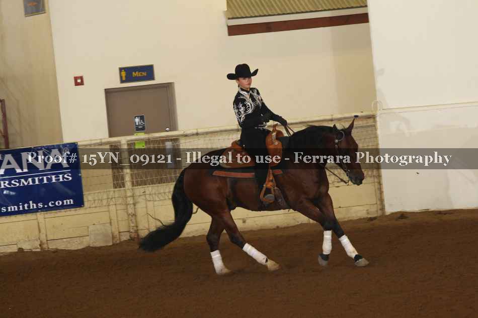 Proof 15YN_09121
