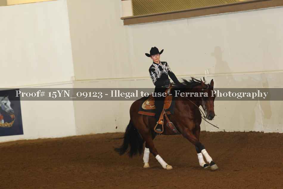 Proof 15YN_09123