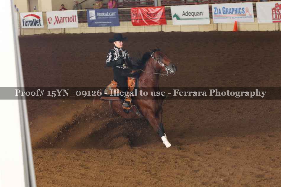 Proof 15YN_09126