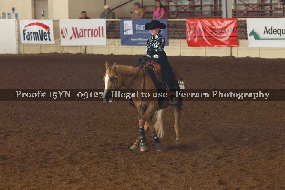 Proof 15YN_09127