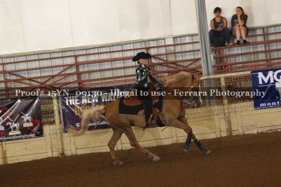 Proof 15YN_09130