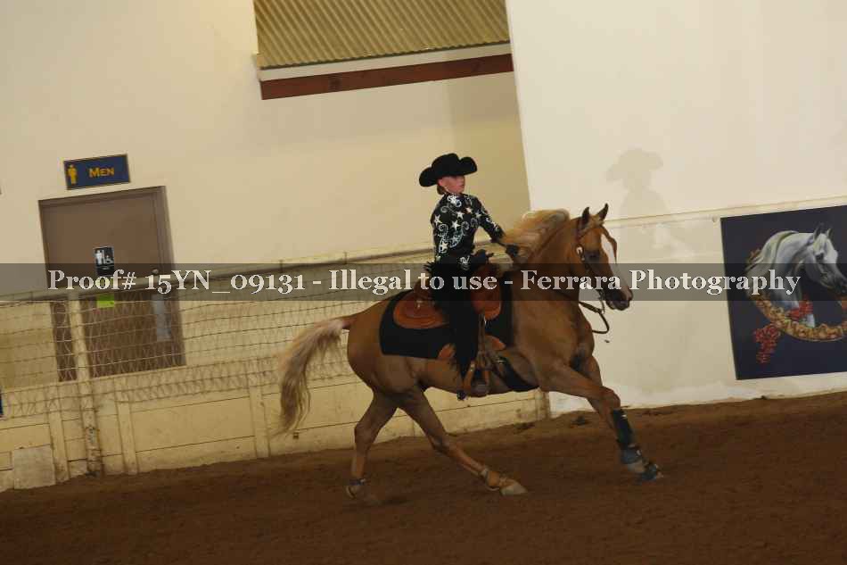 Proof 15YN_09131