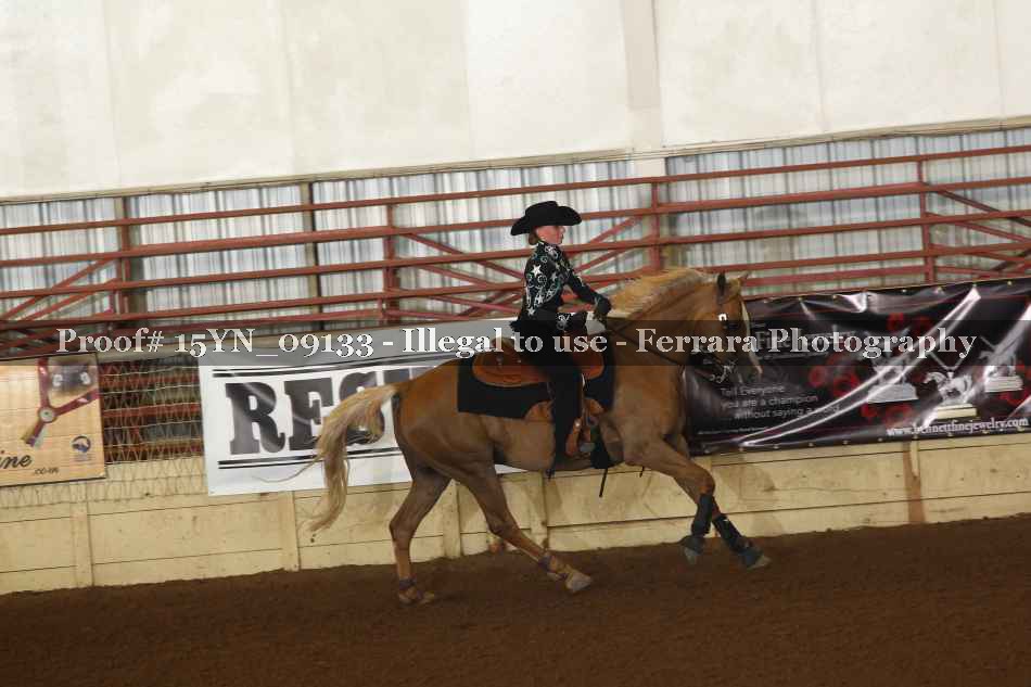 Proof 15YN_09133