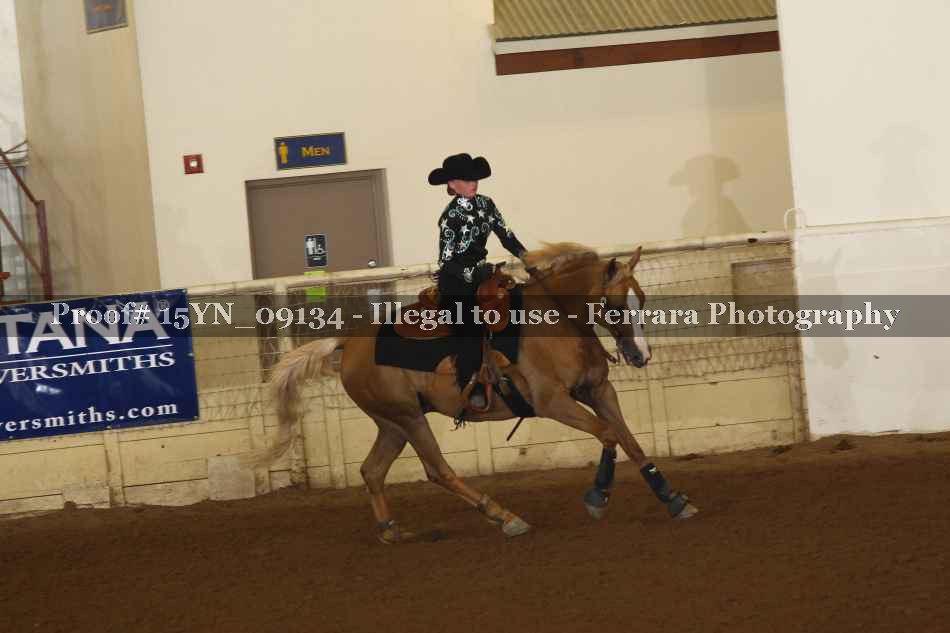 Proof 15YN_09134