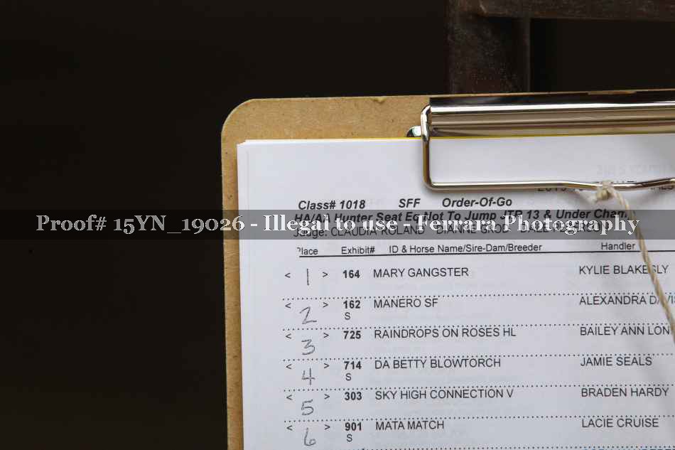 Proof 15YN_19026