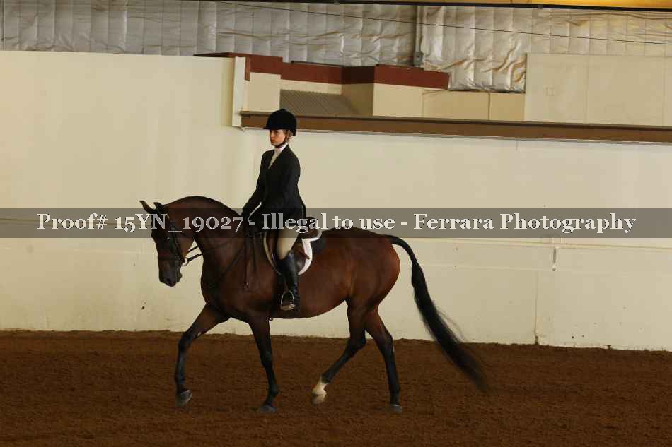 Proof 15YN_19027