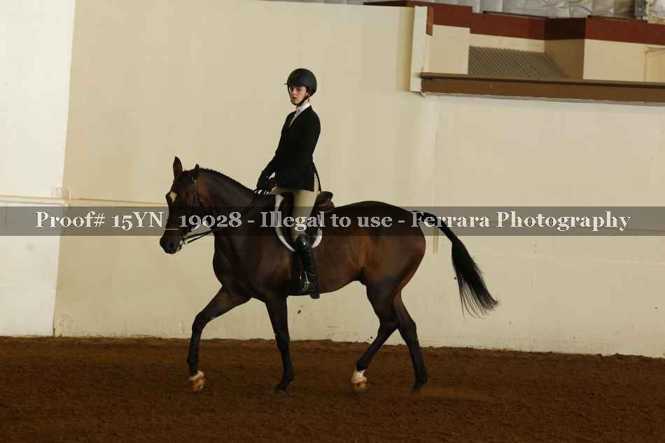 Proof 15YN_19028