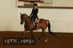 15YN_19031 proof