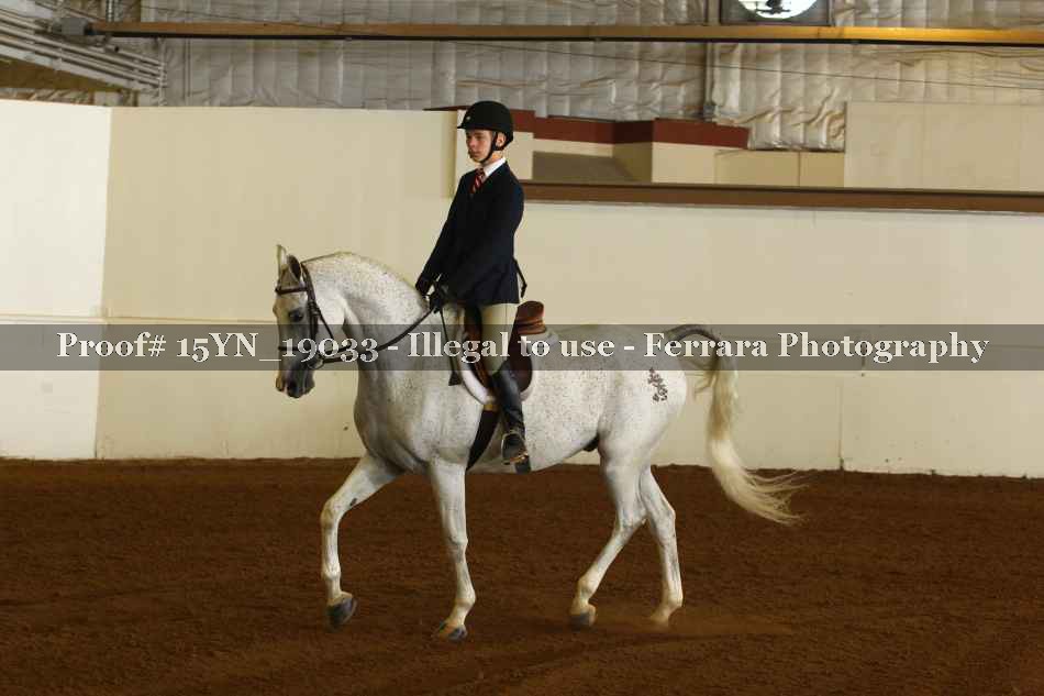 Proof 15YN_19033