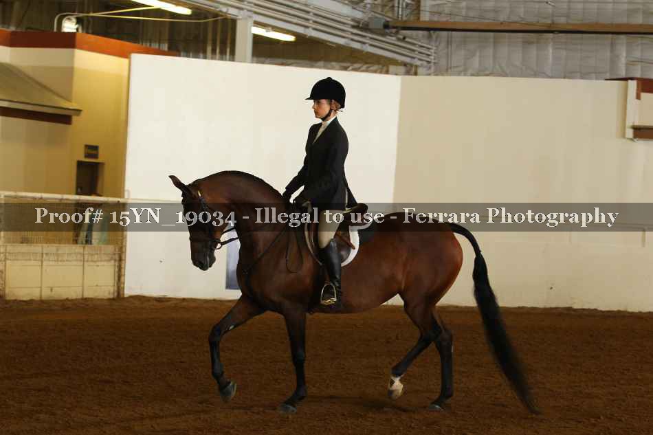 Proof 15YN_19034