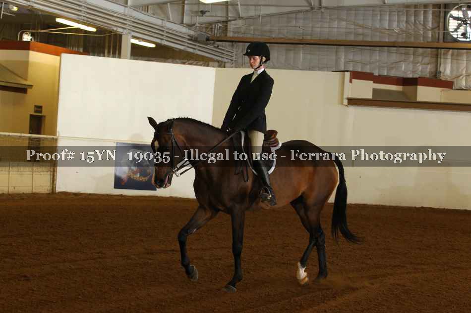 Proof 15YN_19035