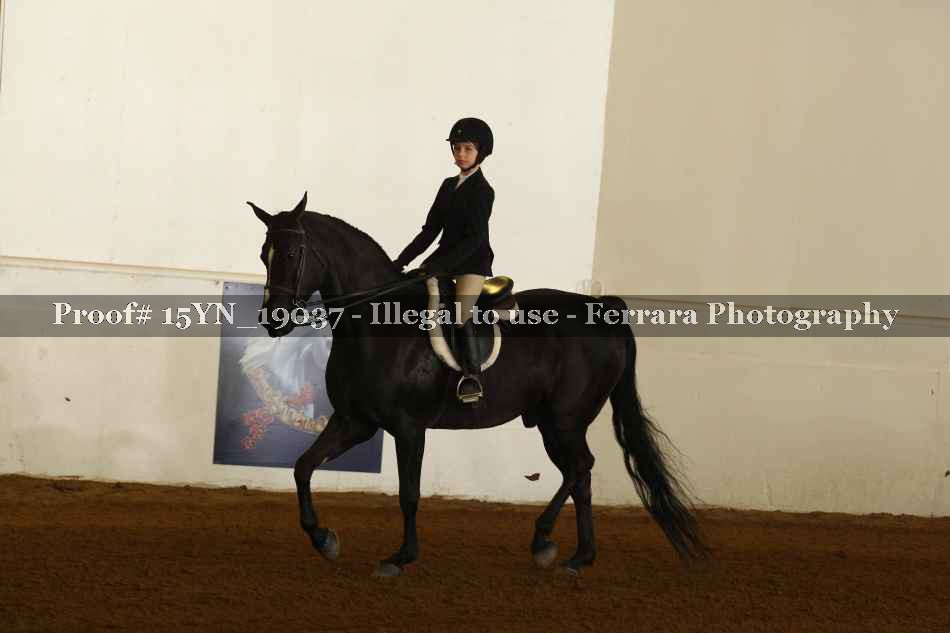 Proof 15YN_19037