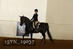 15YN_19037 proof