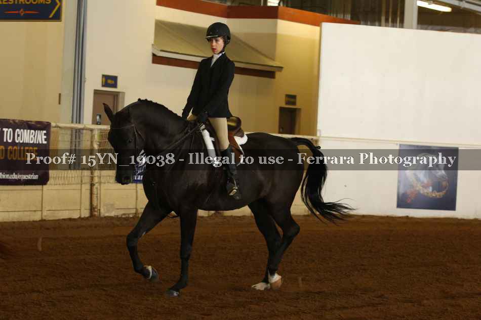 Proof 15YN_19038