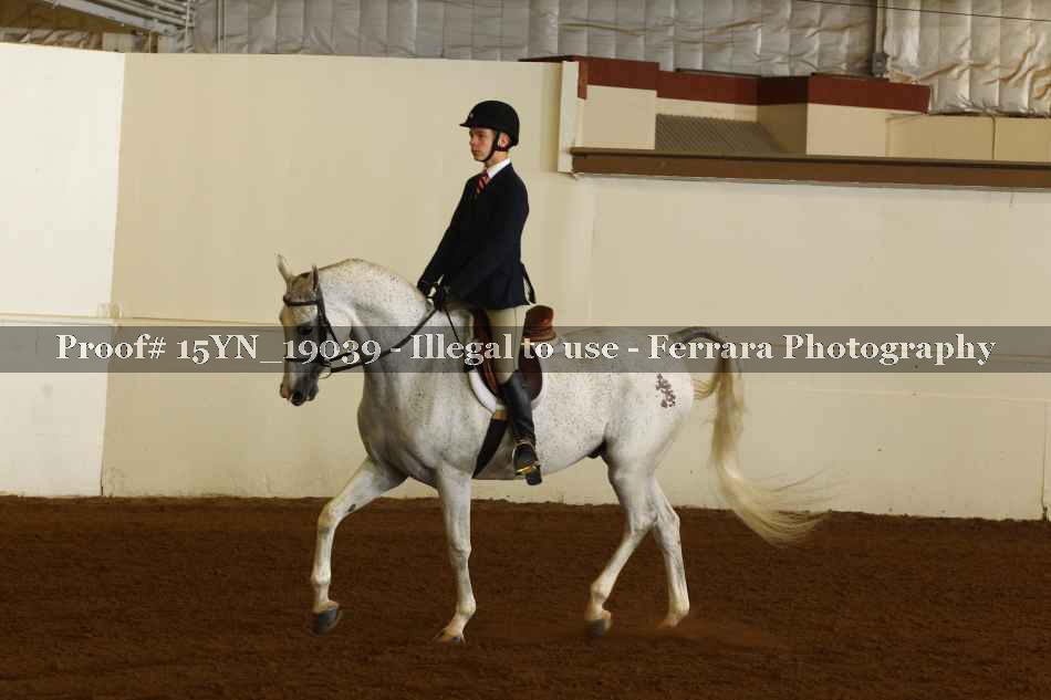 Proof 15YN_19039