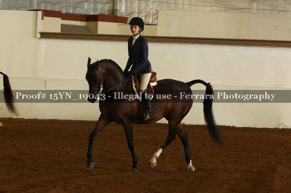 Proof 15YN_19043
