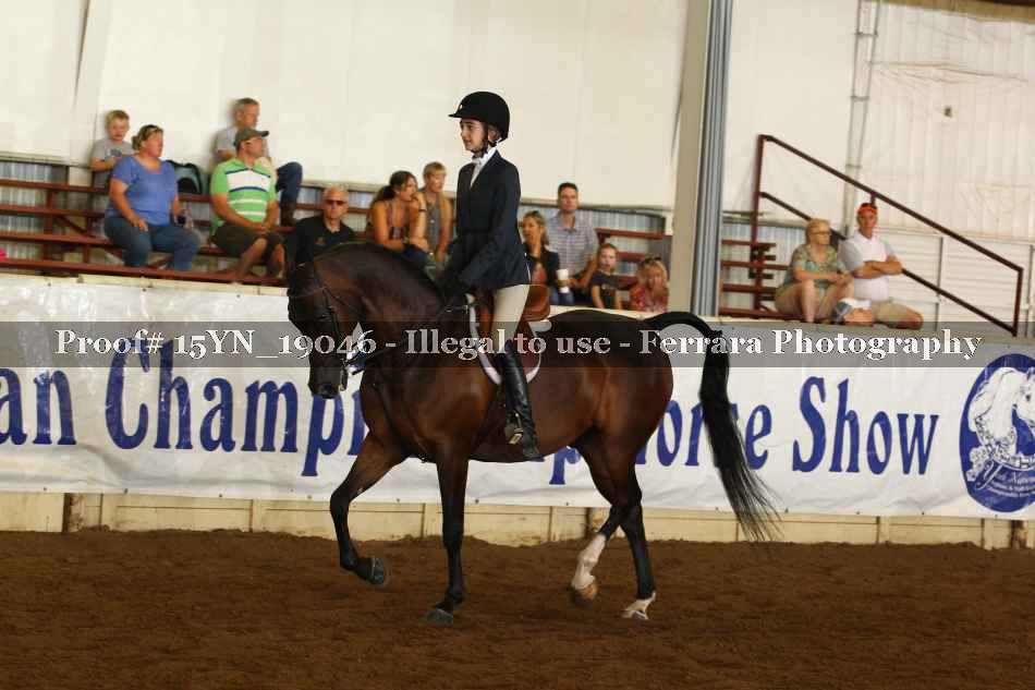 Proof 15YN_19046