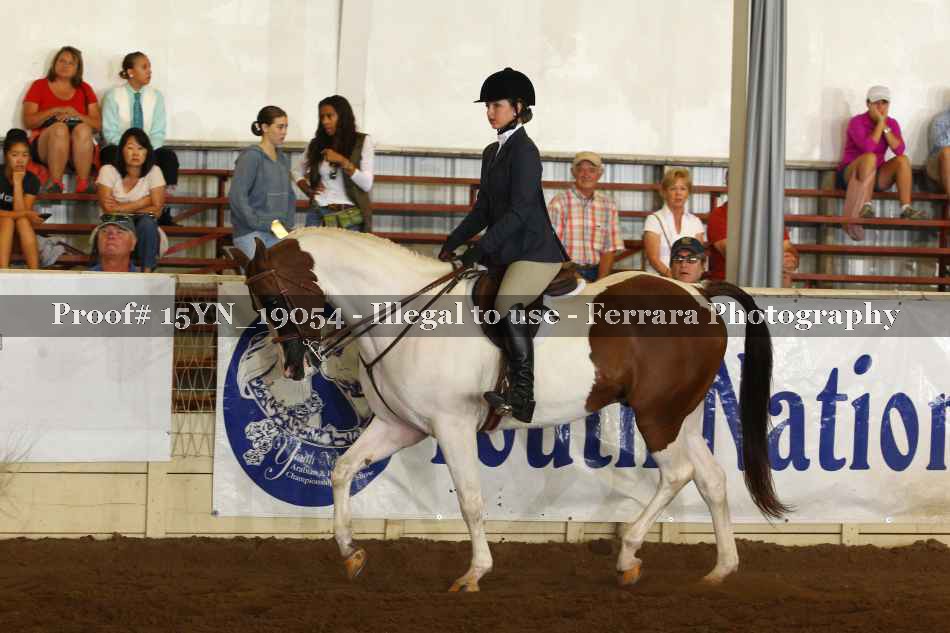 Proof 15YN_19054