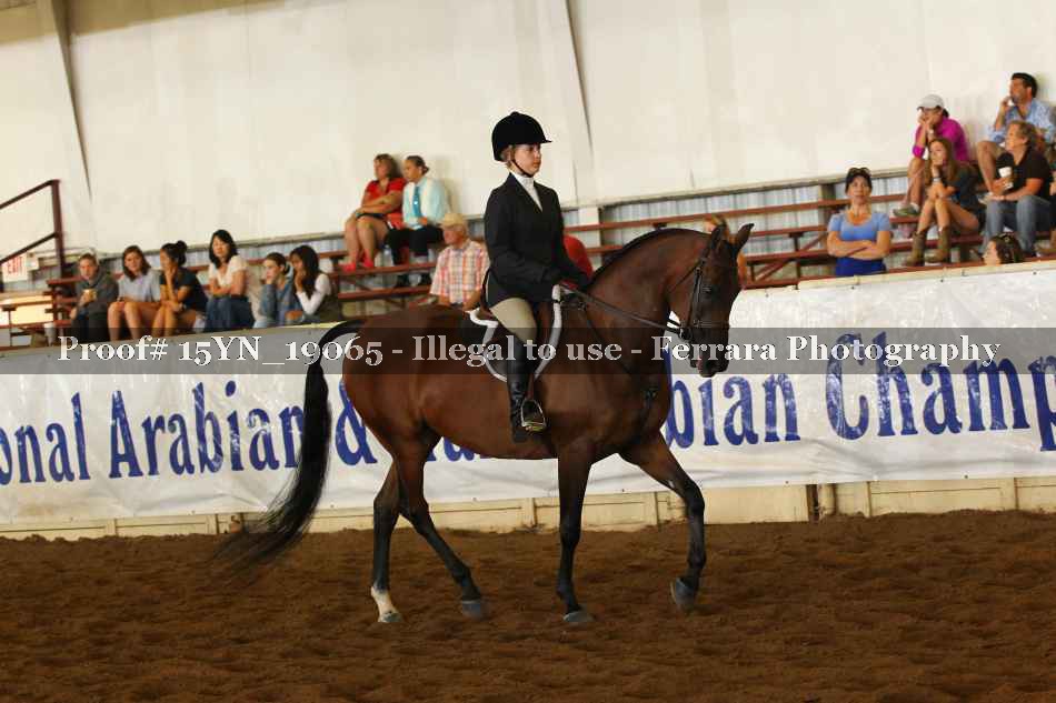 Proof 15YN_19065