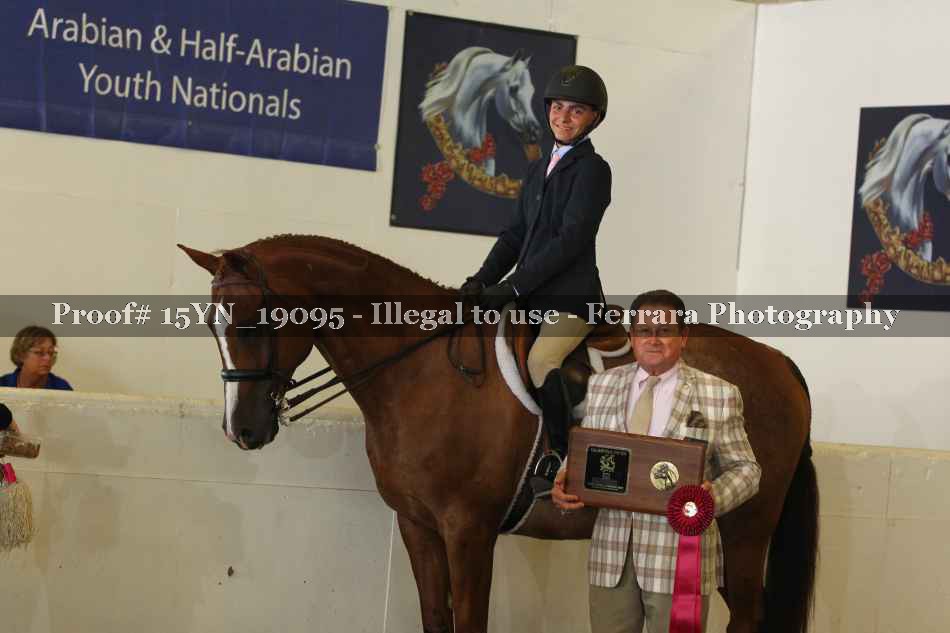 Proof 15YN_19095