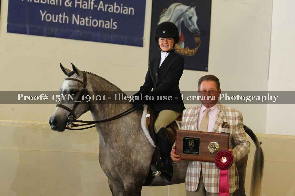 Proof 15YN_19101