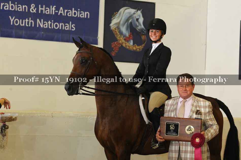 Proof 15YN_19102