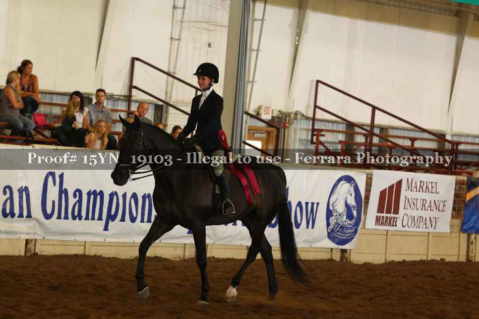 Proof 15YN_19103
