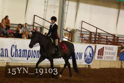 15YN_19103 proof