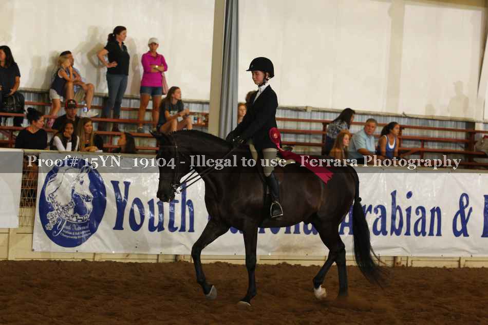 Proof 15YN_19104