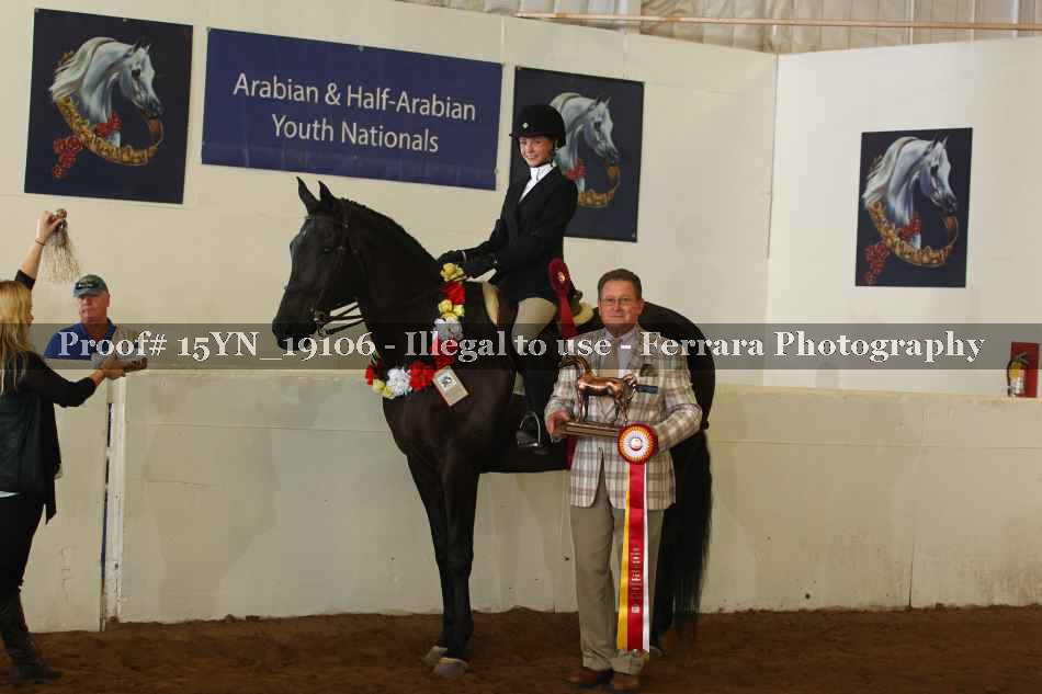 Proof 15YN_19106