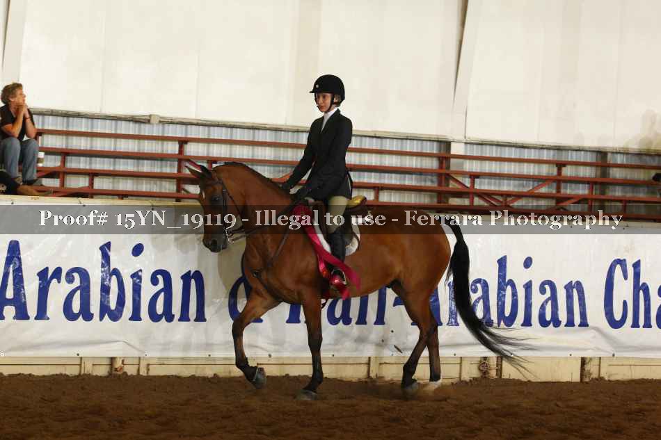 Proof 15YN_19119
