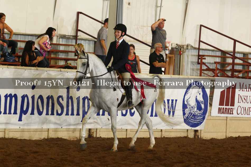 Proof 15YN_19121