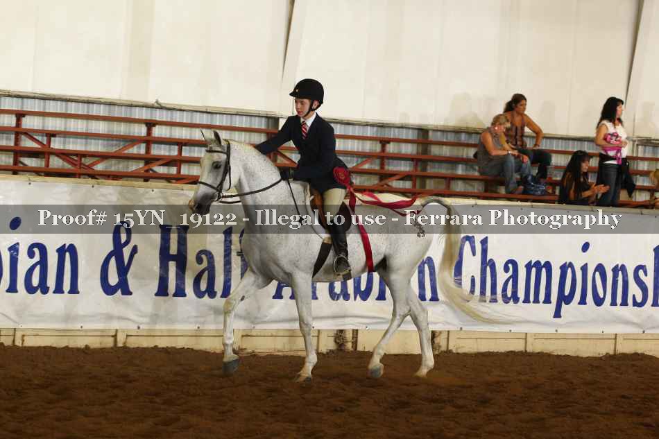 Proof 15YN_19122