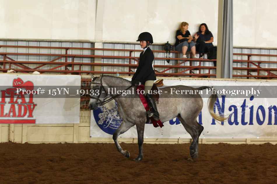 Proof 15YN_19133
