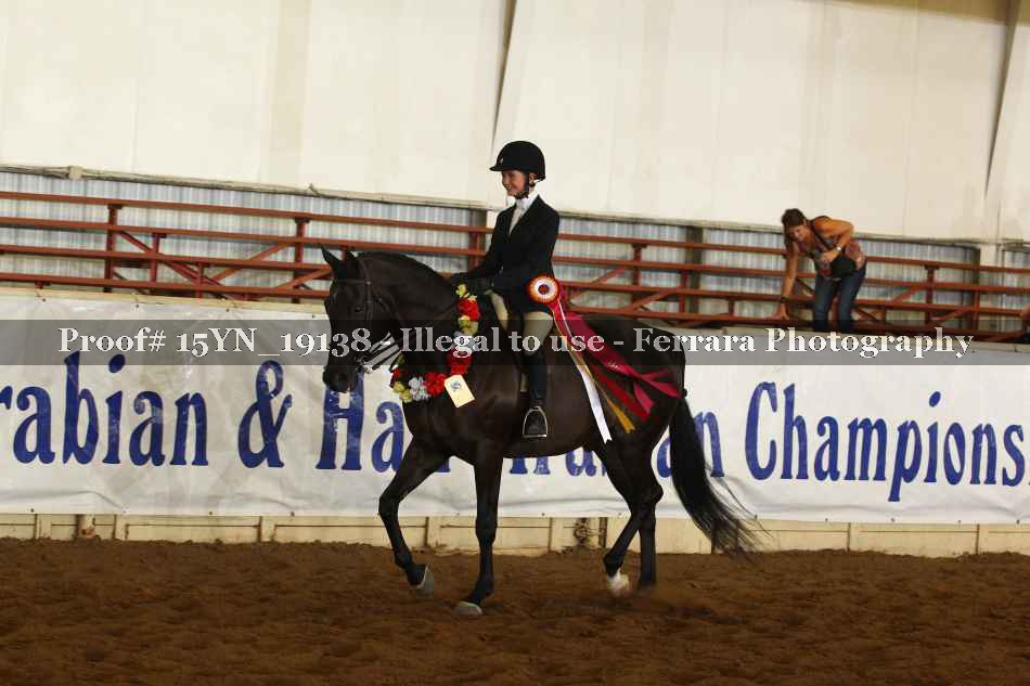Proof 15YN_19138