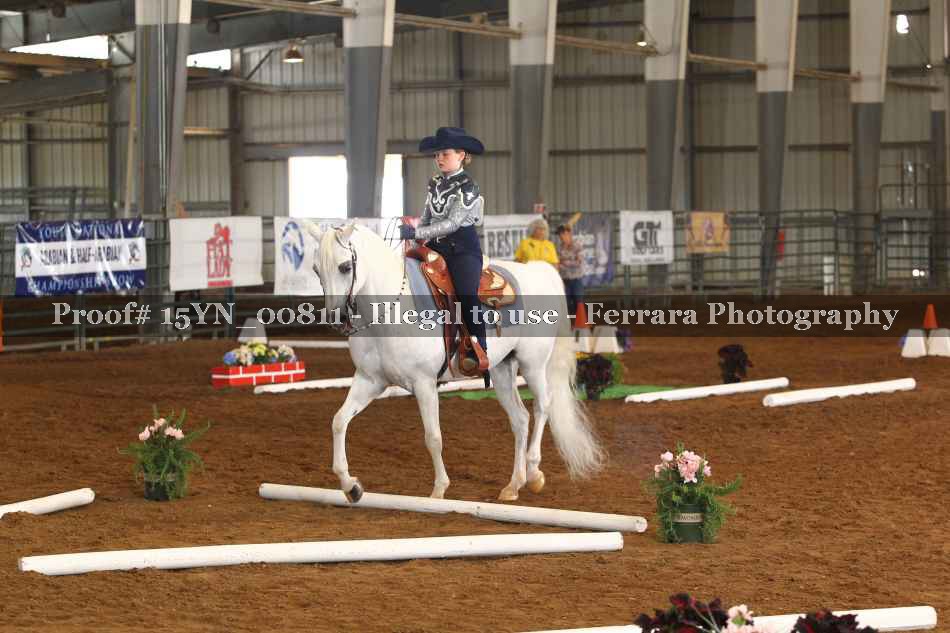 Proof 15YN_00811