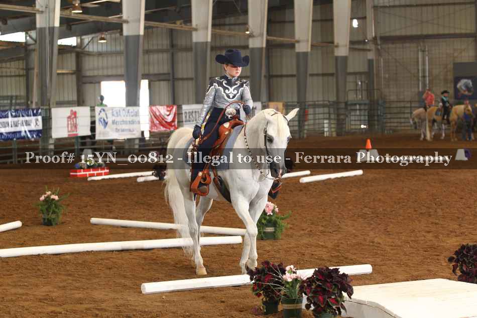 Proof 15YN_00812