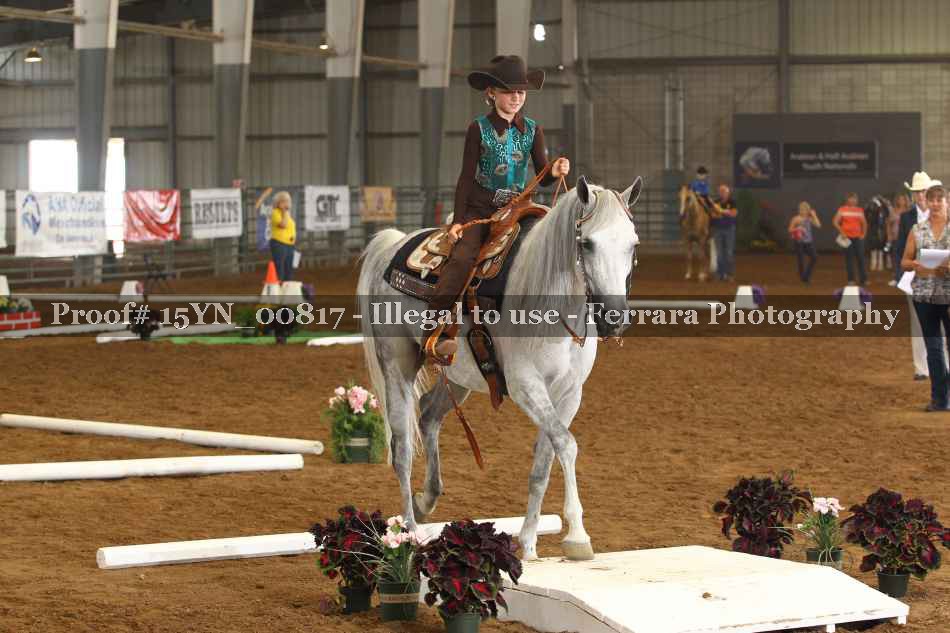 Proof 15YN_00817