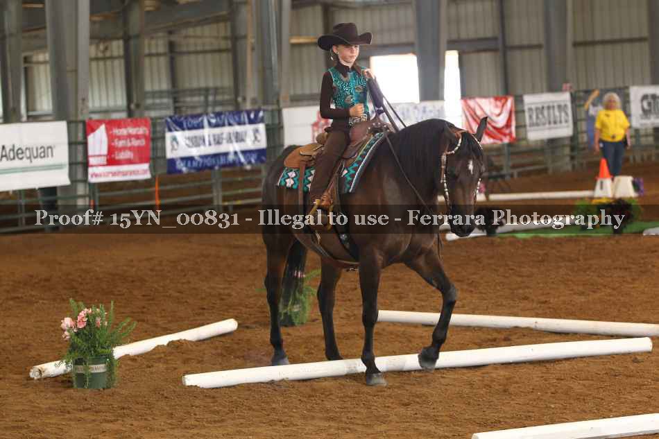Proof 15YN_00831