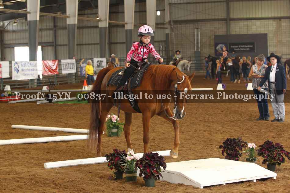 Proof 15YN_00837