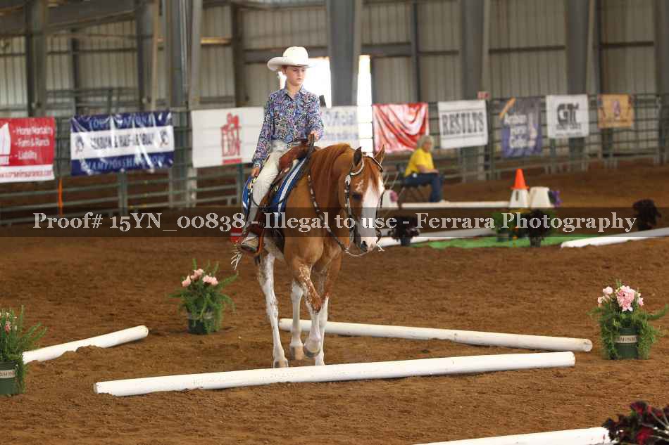 Proof 15YN_00838