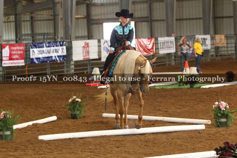Proof 15YN_00843
