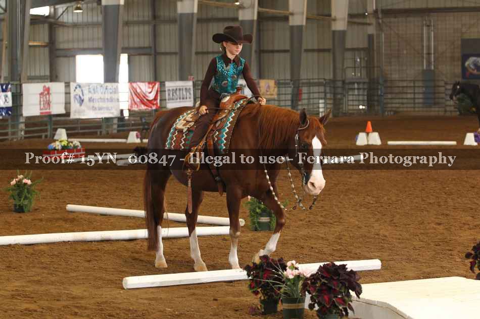 Proof 15YN_00847