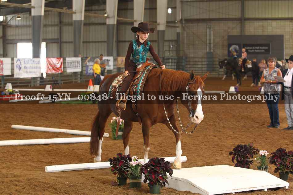 Proof 15YN_00848
