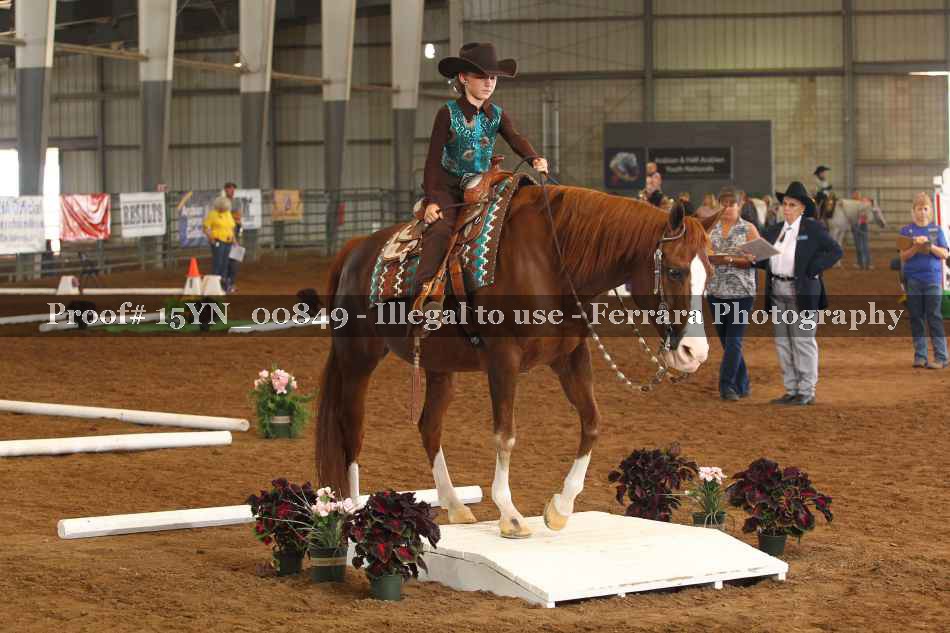 Proof 15YN_00849