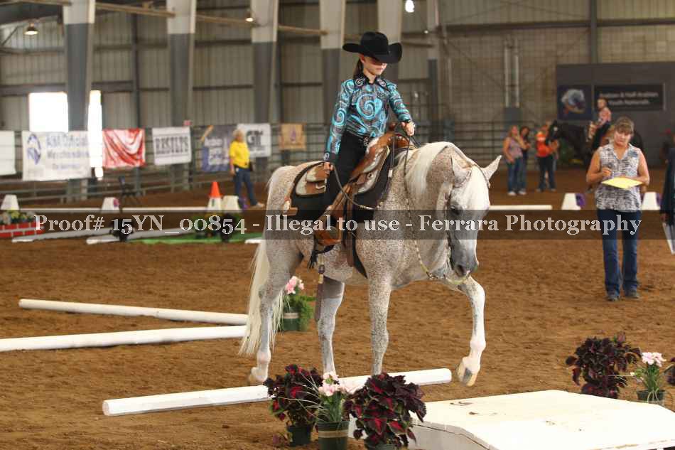 Proof 15YN_00854
