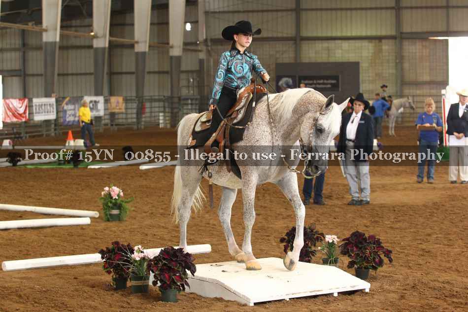 Proof 15YN_00855